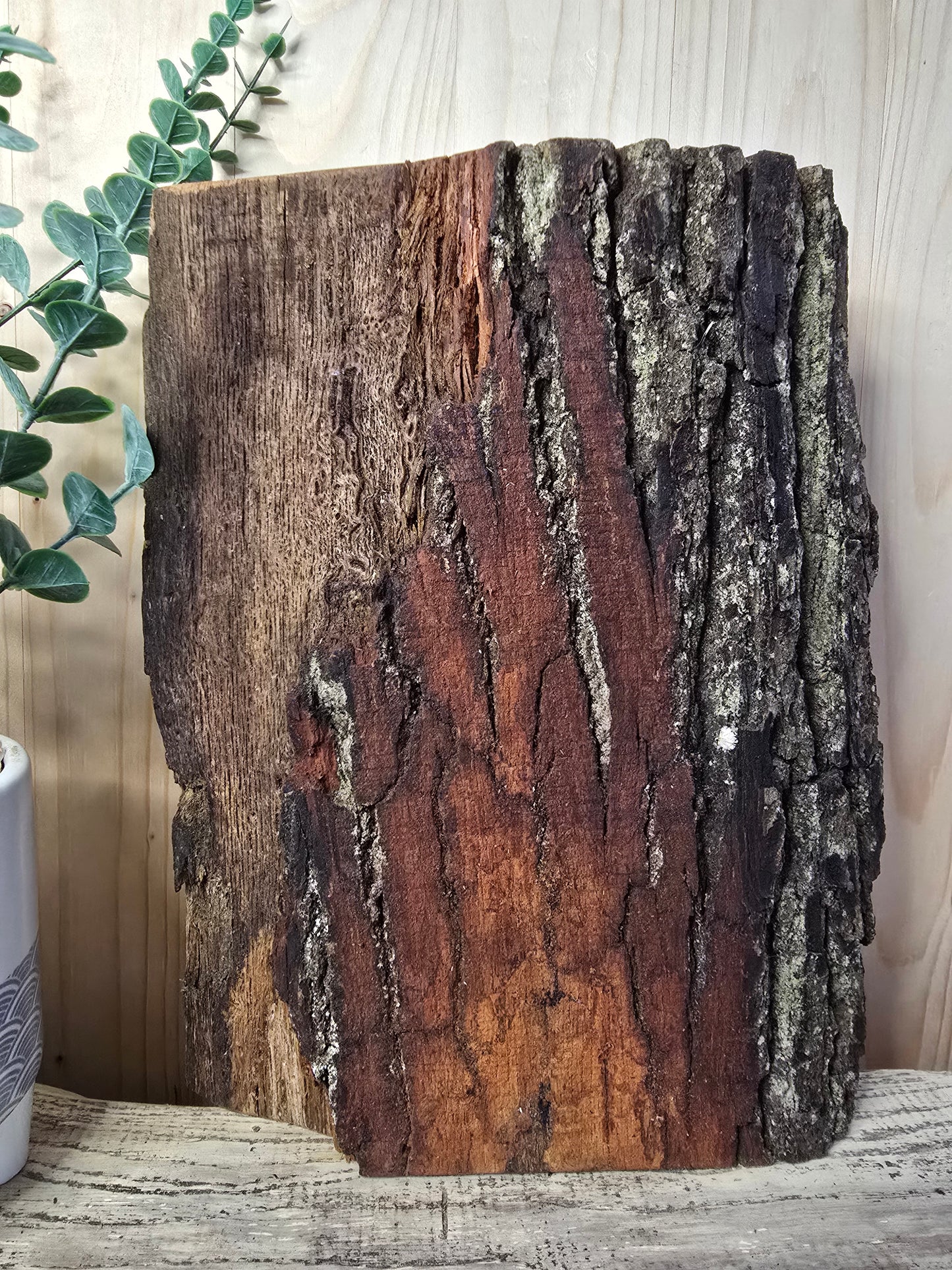 Erstmal ein Bier- Wand-Flaschenöffner aus Holz mit Gravur